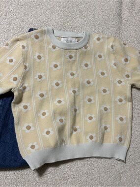 Adorable ZARA knit daisy top